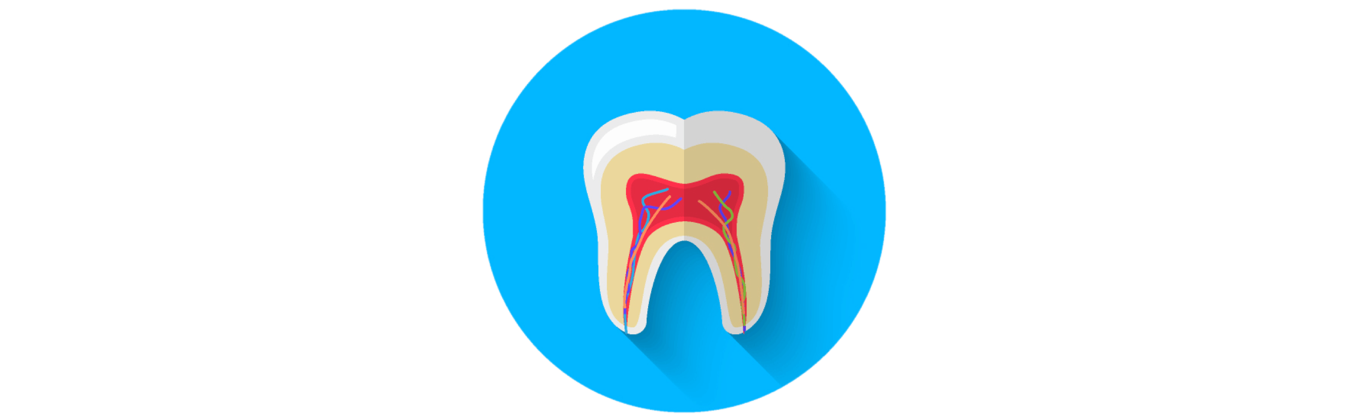 Wurzelbehandlung bei toten und abgestorbenen Zähnen